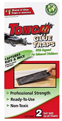Rat Glue Traps