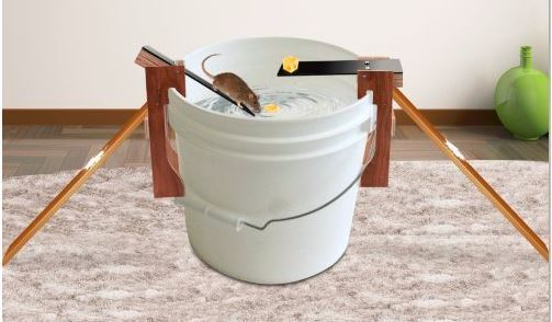 Bucket Rat Traps Which Are The Best How To Make Your Own