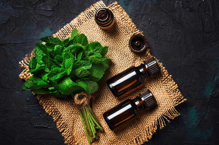 Top view of fresh mint leaves with 4 small brown bottles for essential oils
