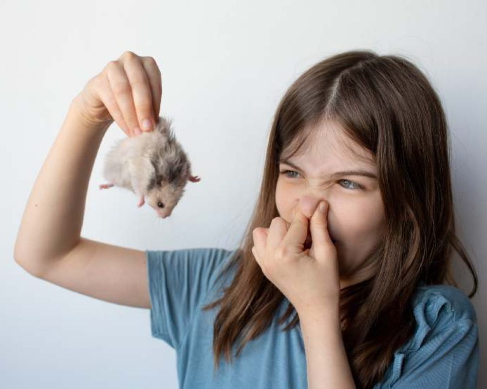 Little girl holding a smelly rat